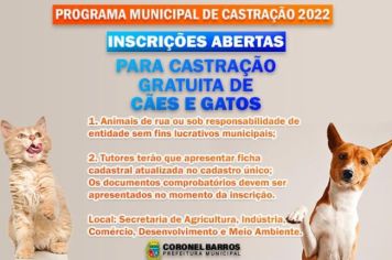 Programa Municipal de Castração 2022