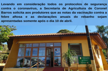 Comprovação da vacinação contra febre aftosa deve ser realizada após 10 de abril