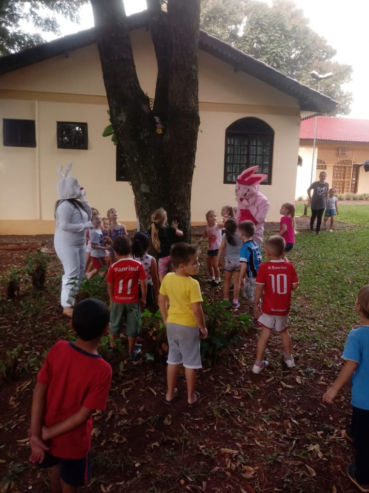 Alunos da Escola Miguel Burnier participam do projeto Caça ao Ninho